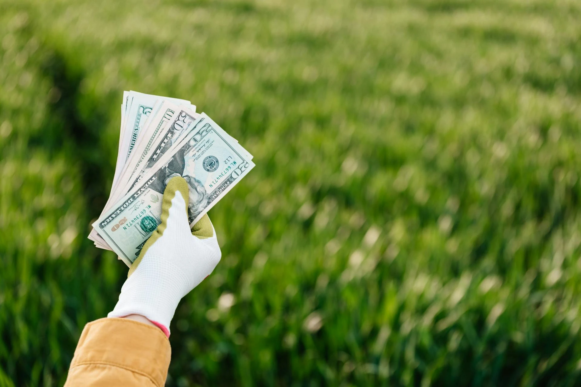 How Does WAGR Measure Green Economy Exposure in Funds?