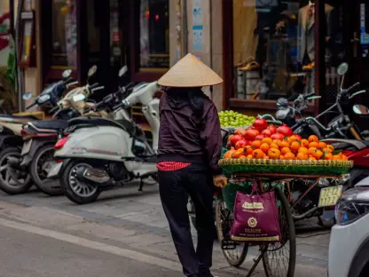 Vietnam Achieves Investment Grade and Economic Maturity